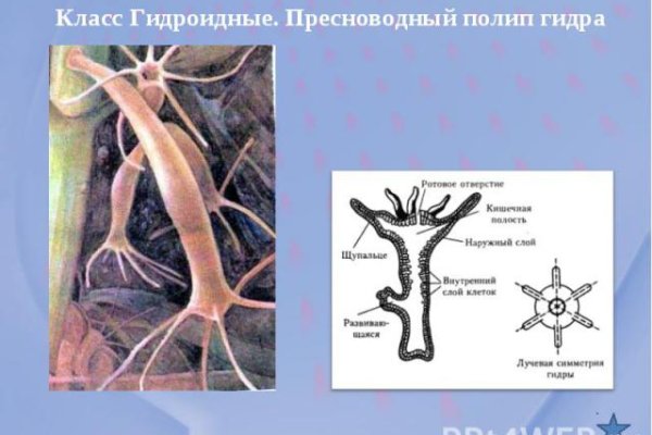 Правильная ссылка на BlackSprut копировать