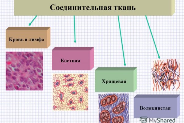 Омг сайт ссылка на гидру onion