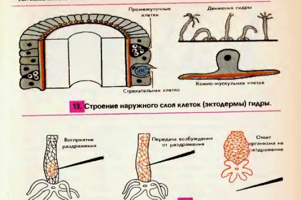 Рабочая ссылка на сайт omg